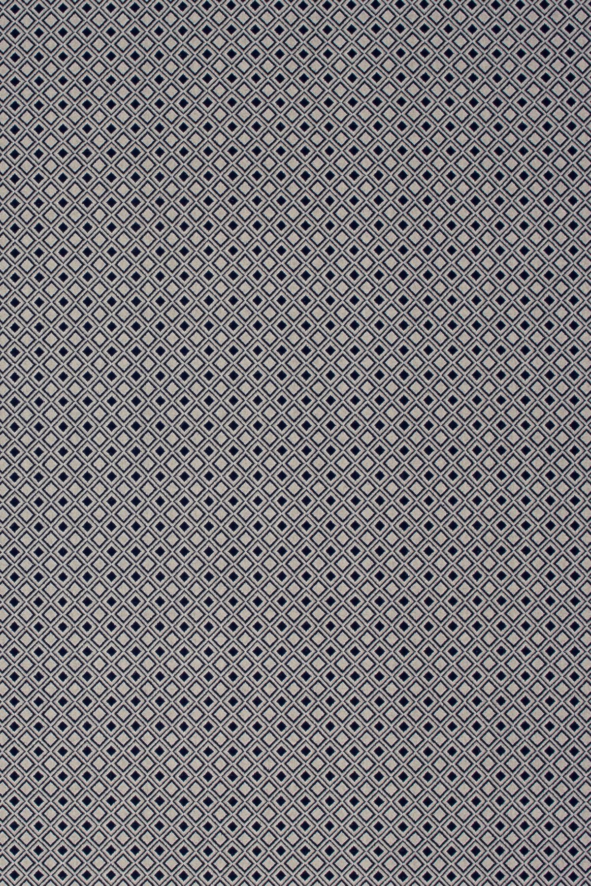 T01002267_ALT2