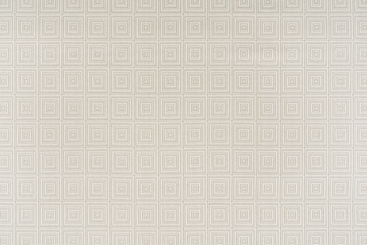 T01005821_ALT2