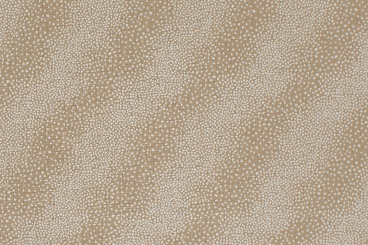 T01008055_ALT2