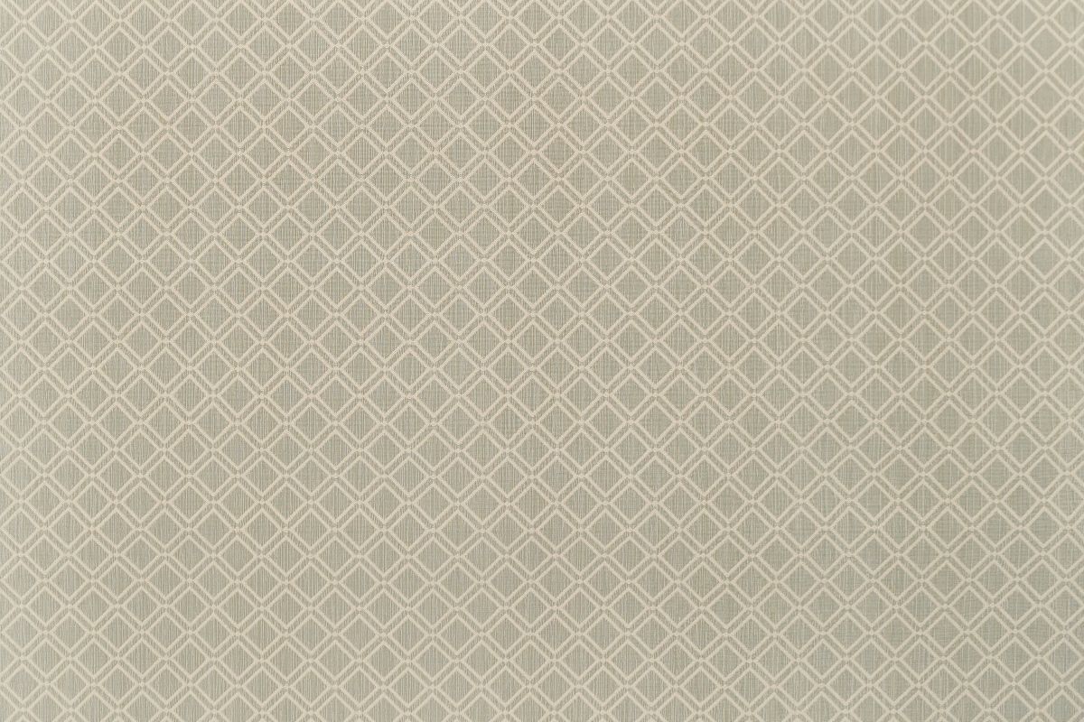 T01008729_ALT2