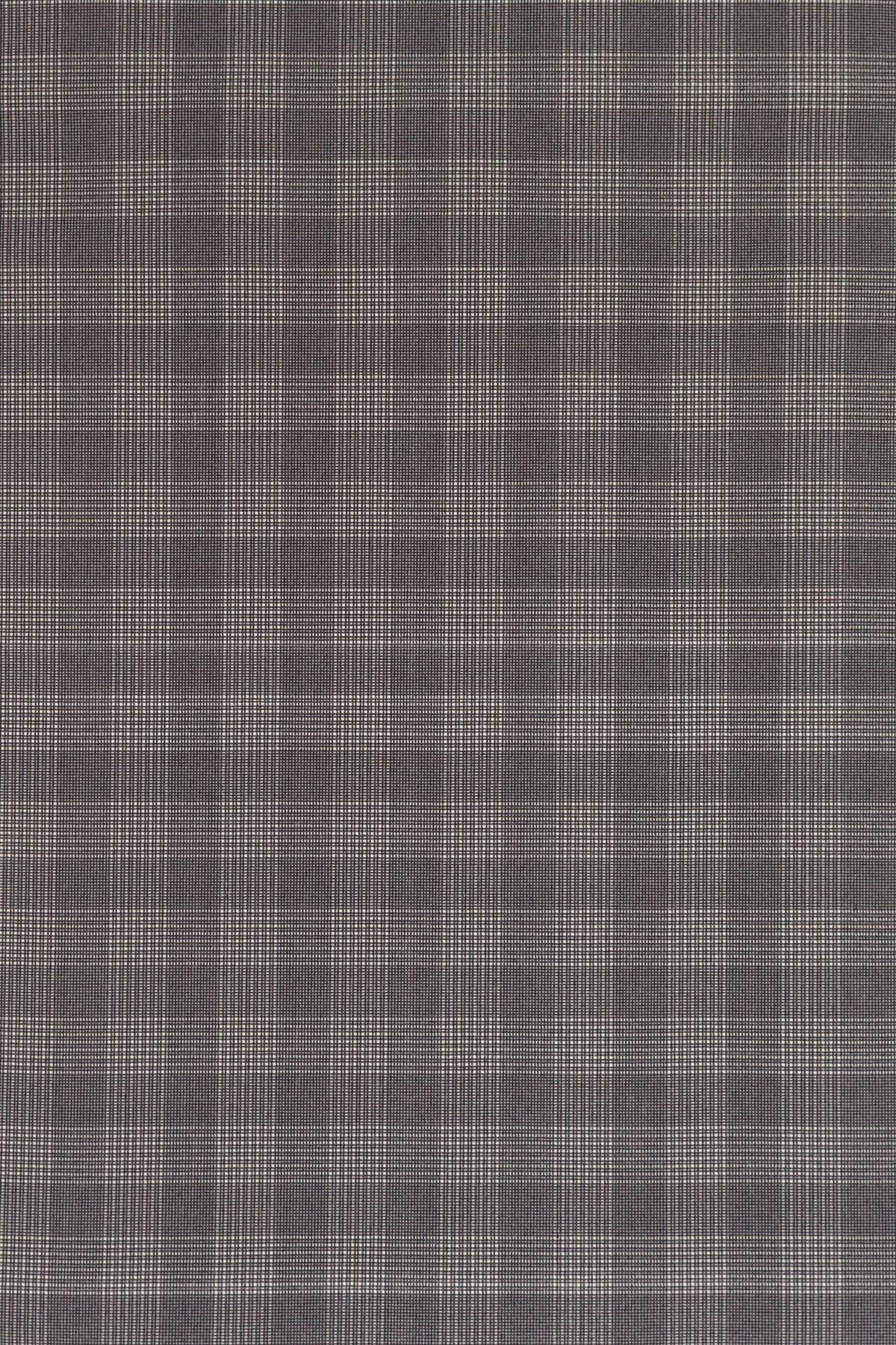 T01009022_ALT2