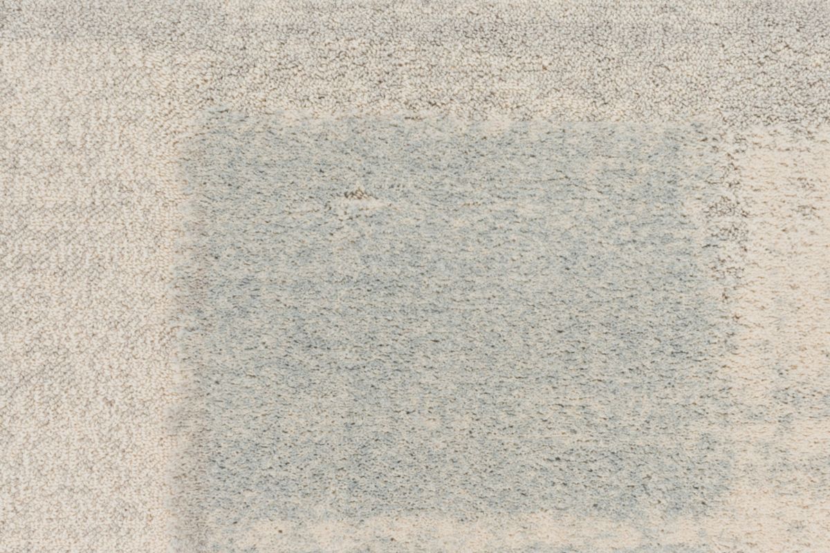 T01010060_CL