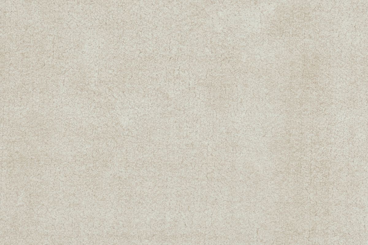 T01011069_CL