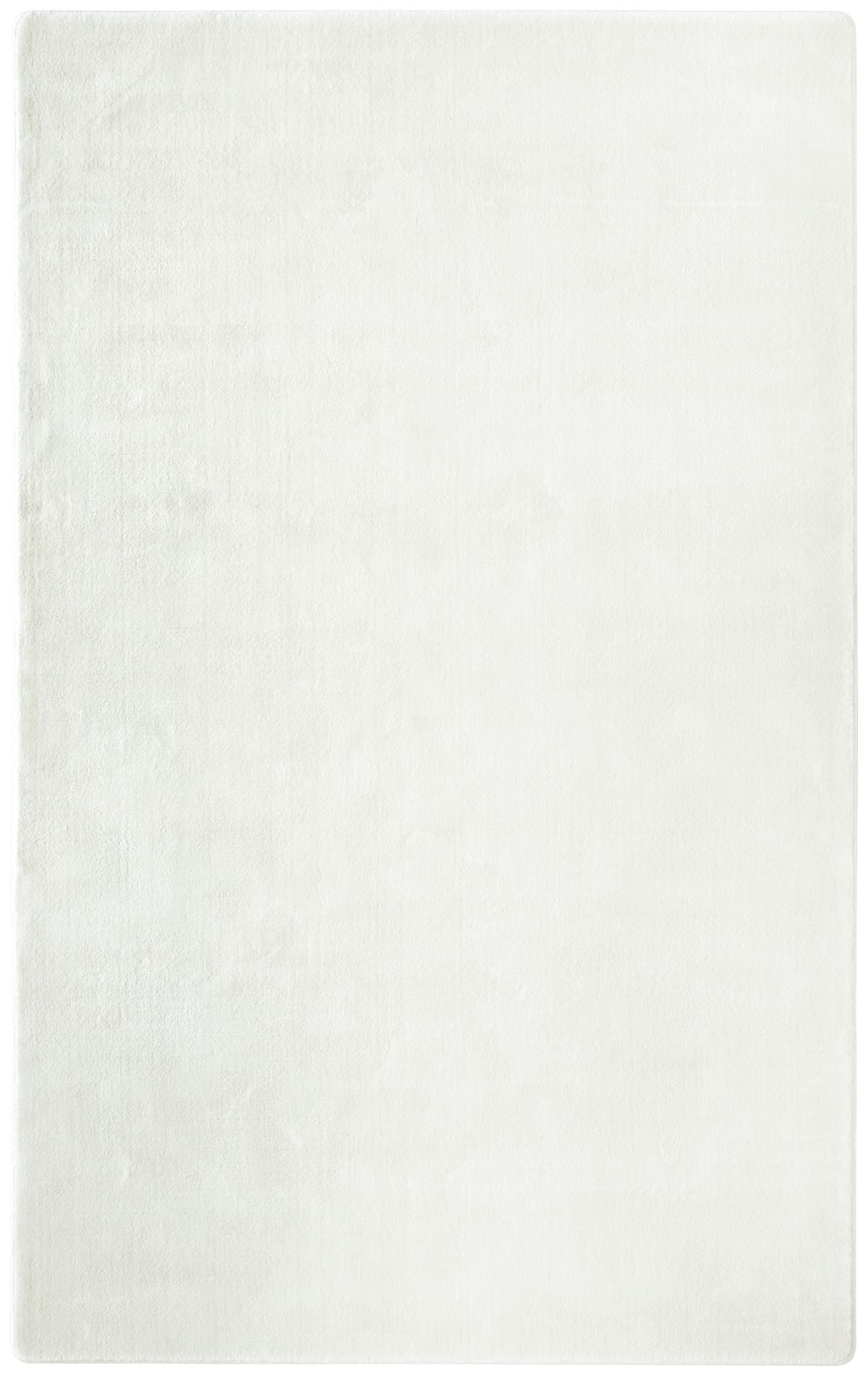 T01011071