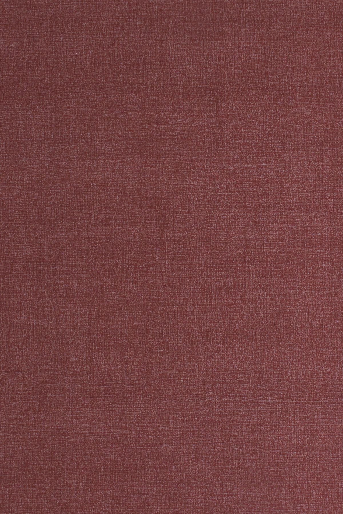 T01015435_ALT2