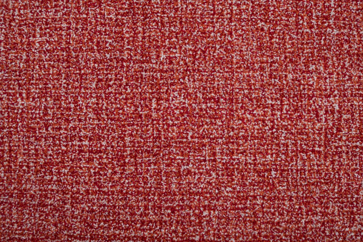 T01015435_CL