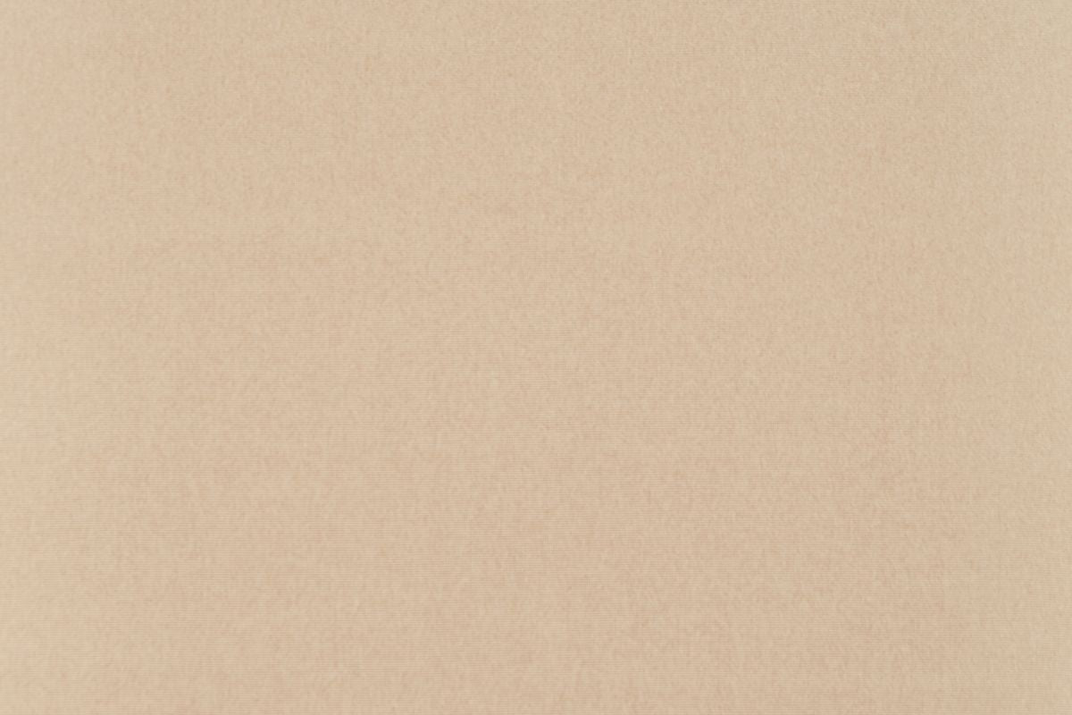 T01016824_ALT2