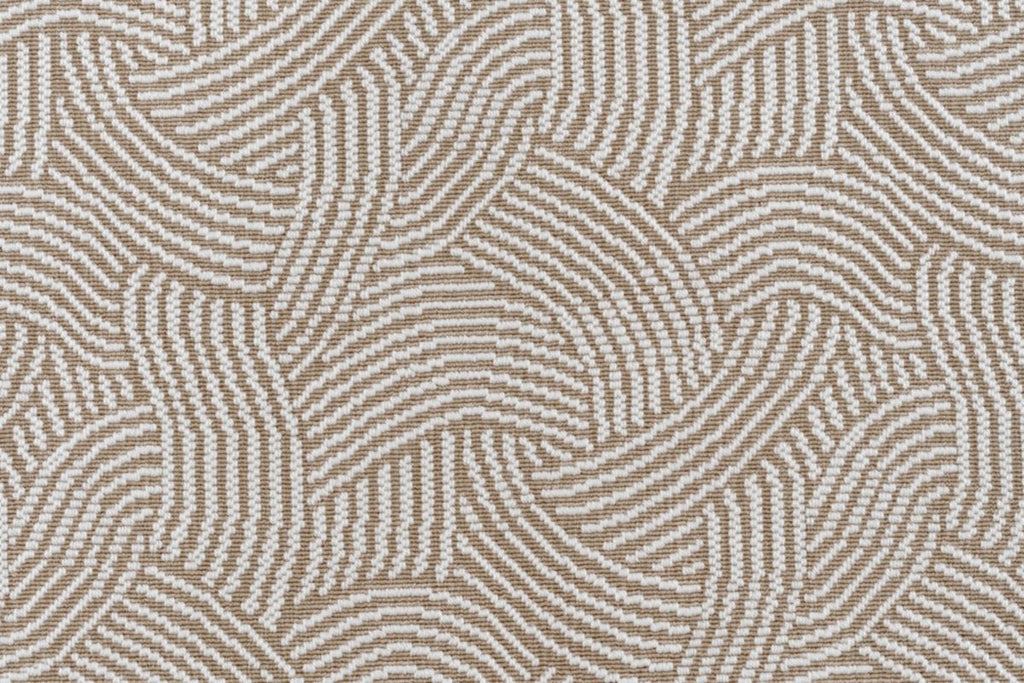Fawn
