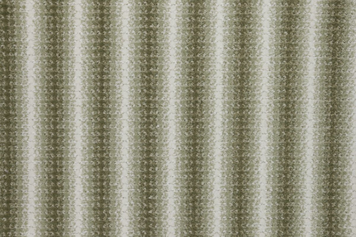 Fern
