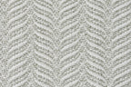 Fern