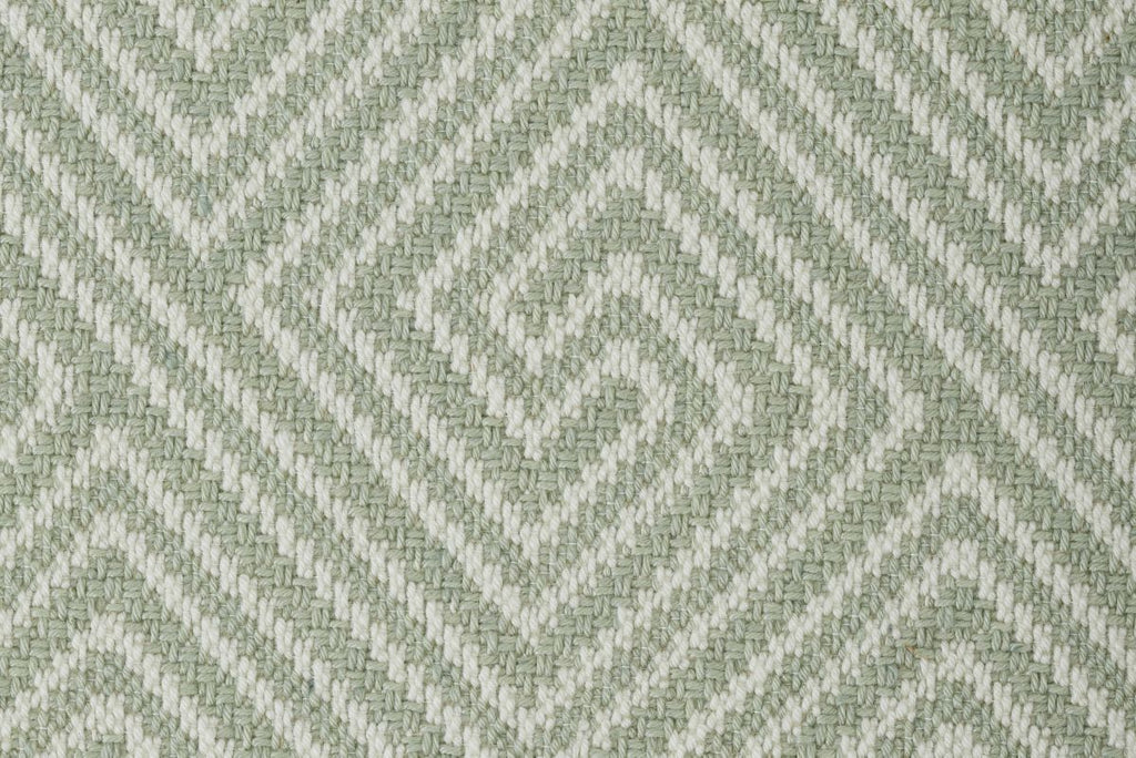 Fern