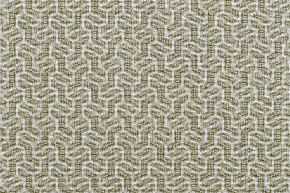 Lichen