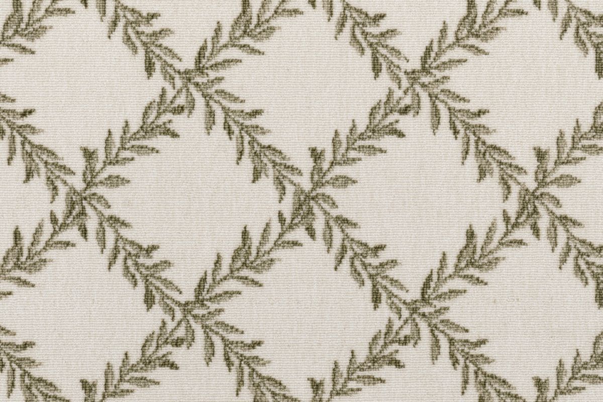Lichen