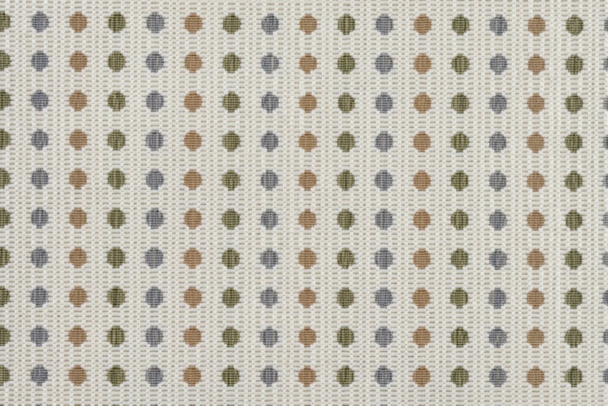 Safari