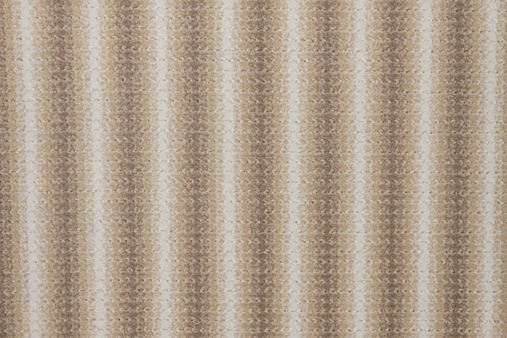 Sahara