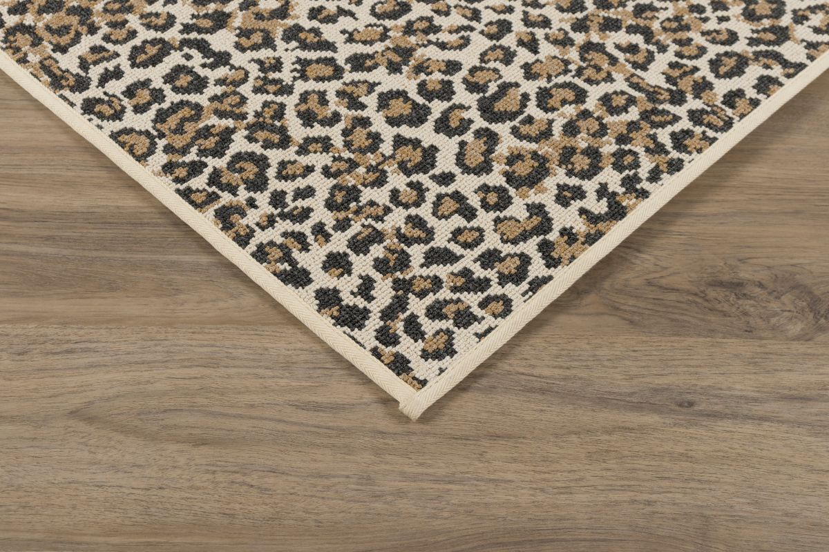 Sahara