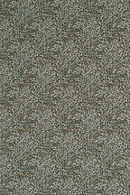 Sahara