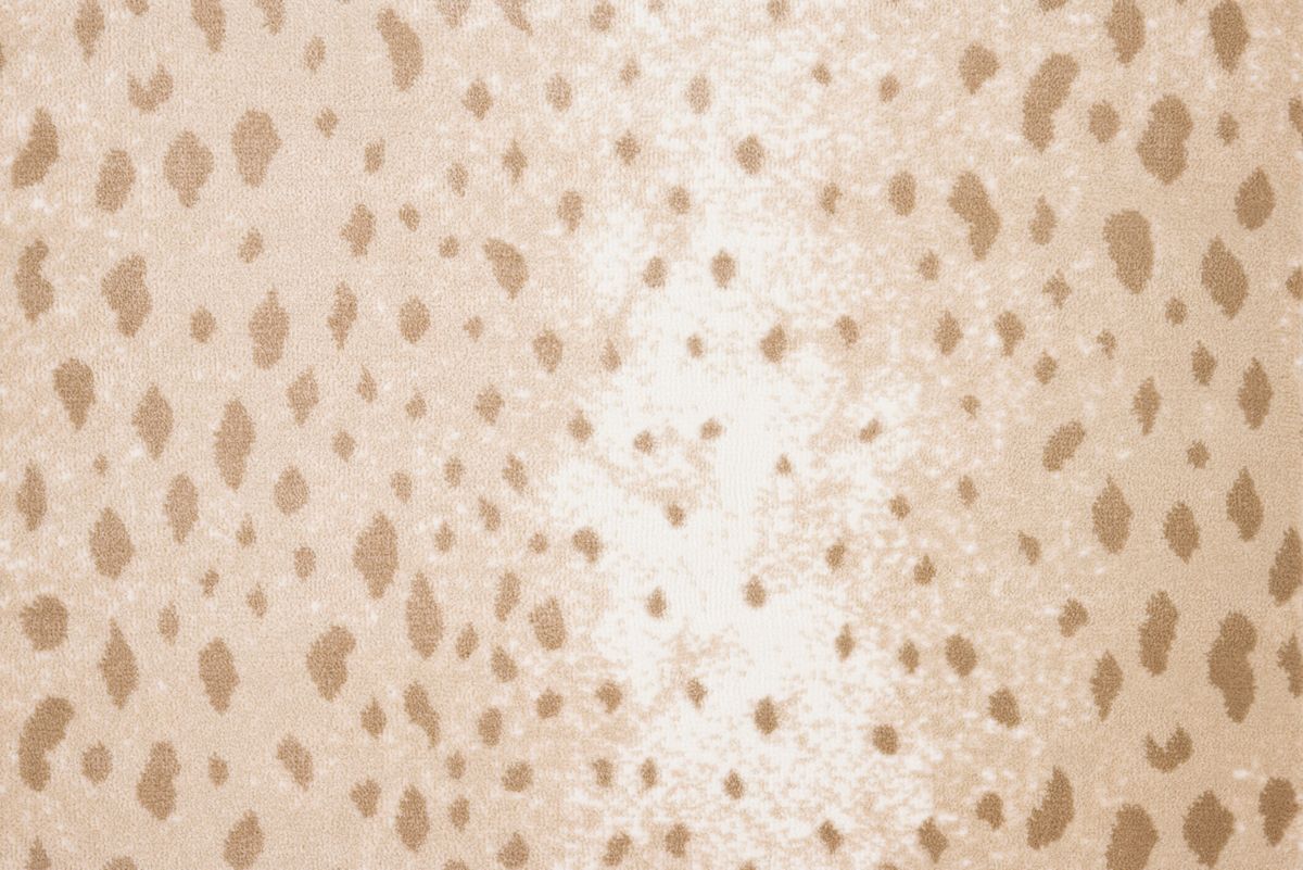 Sand