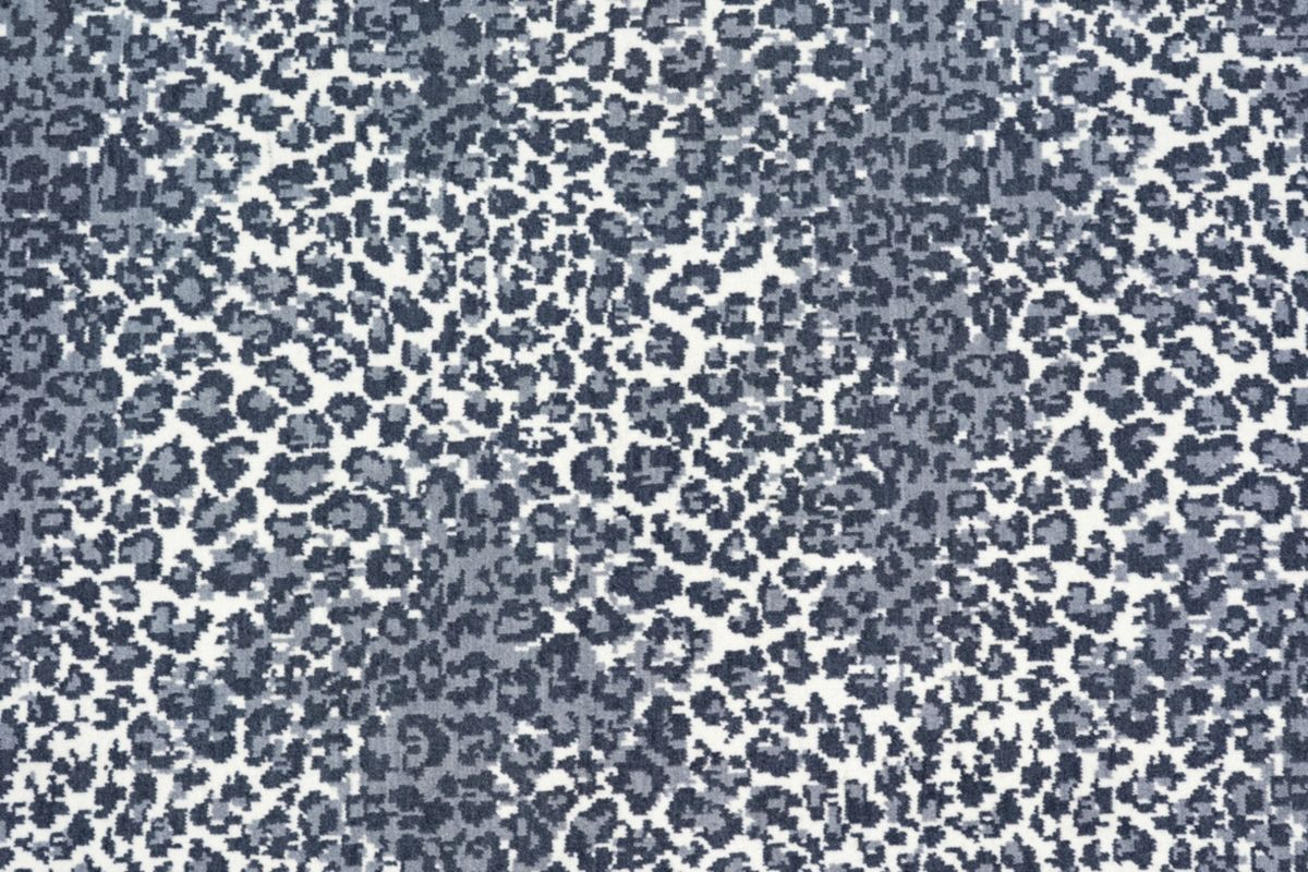 T01000596_CL