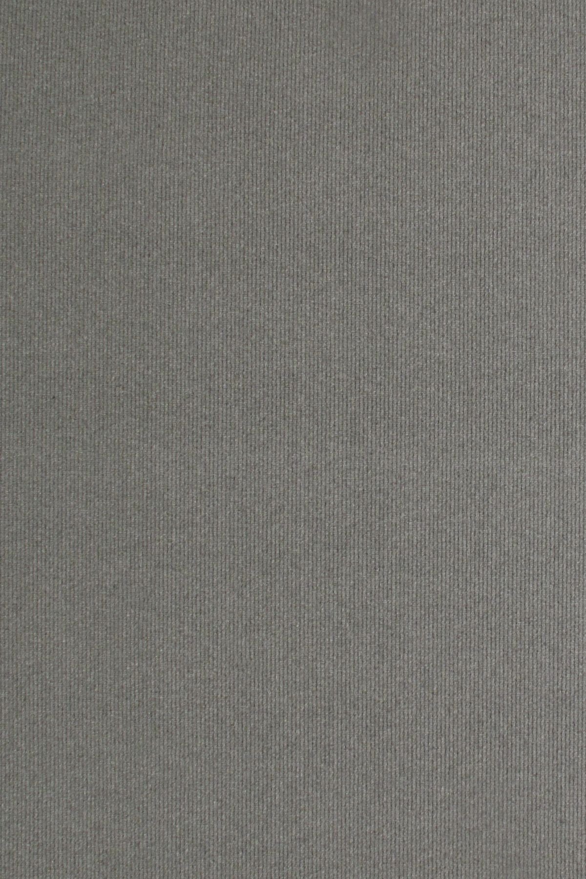 T01000666_ALT2