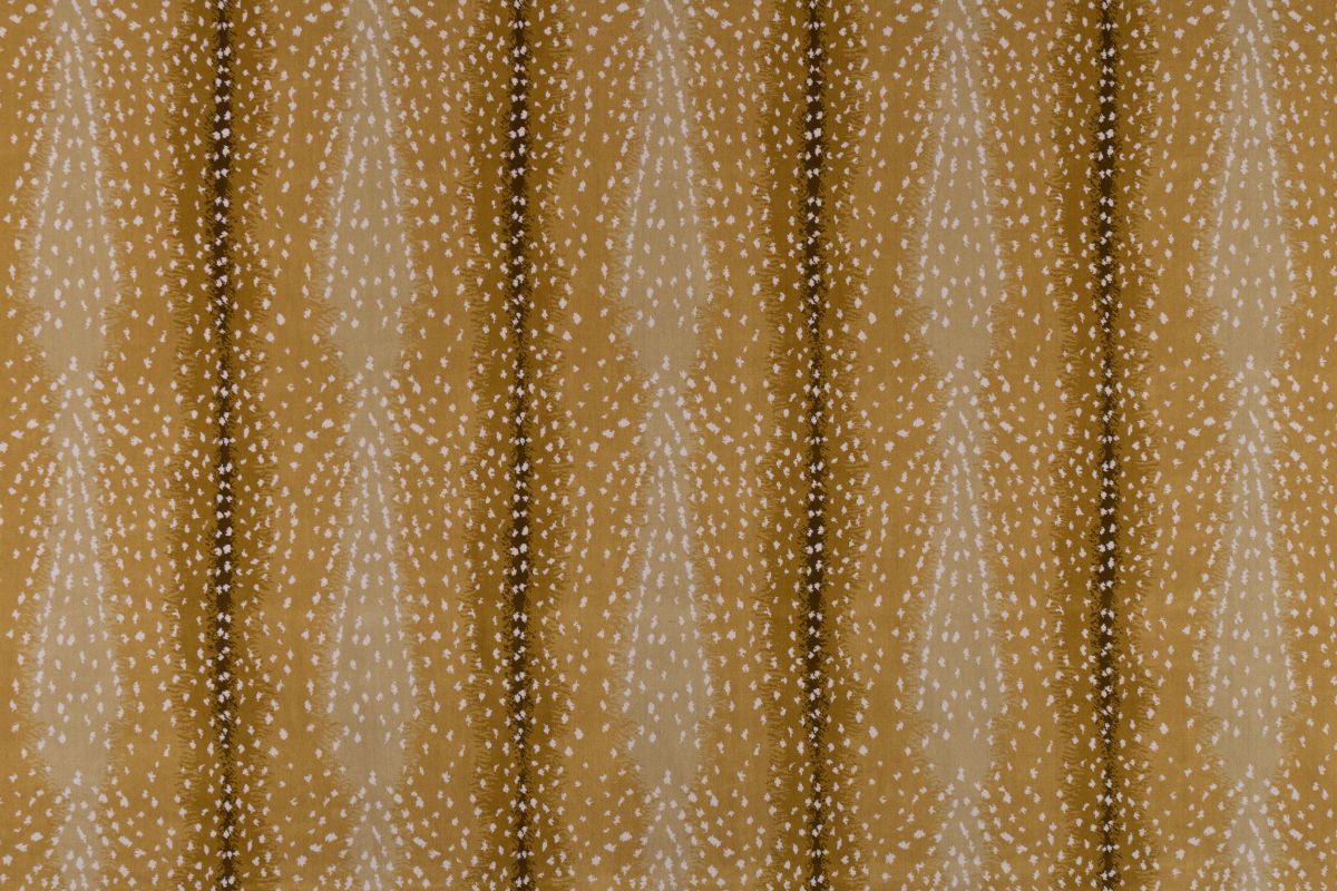 T01000714_ALT2