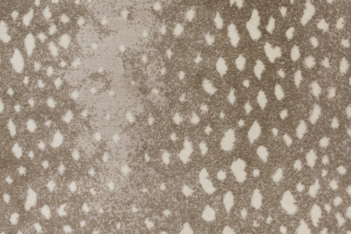 T01000760_CL