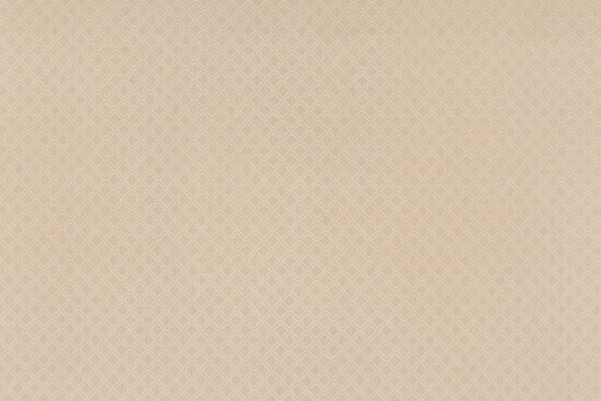 T01000950_ALT2