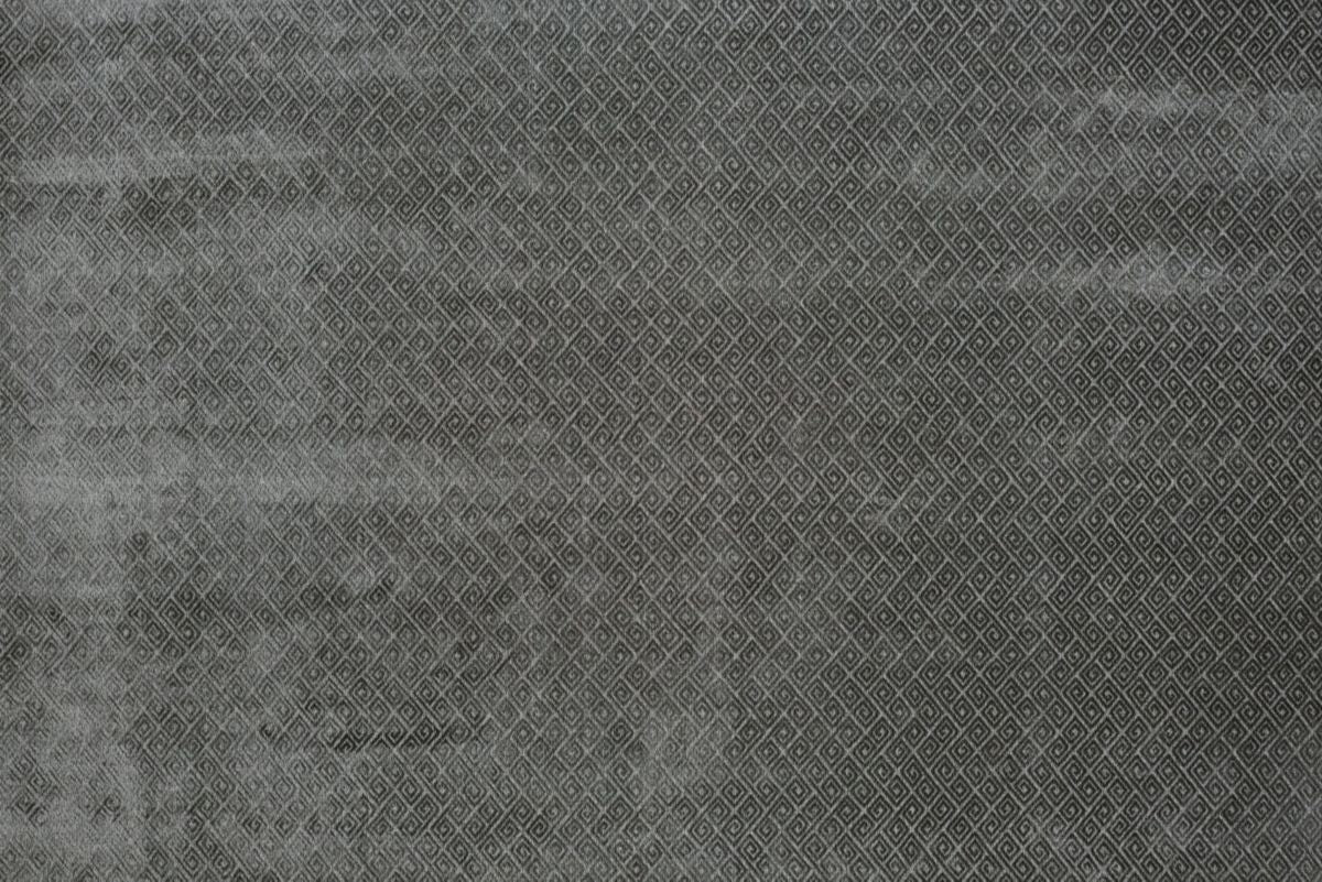 T01000974_ALT2