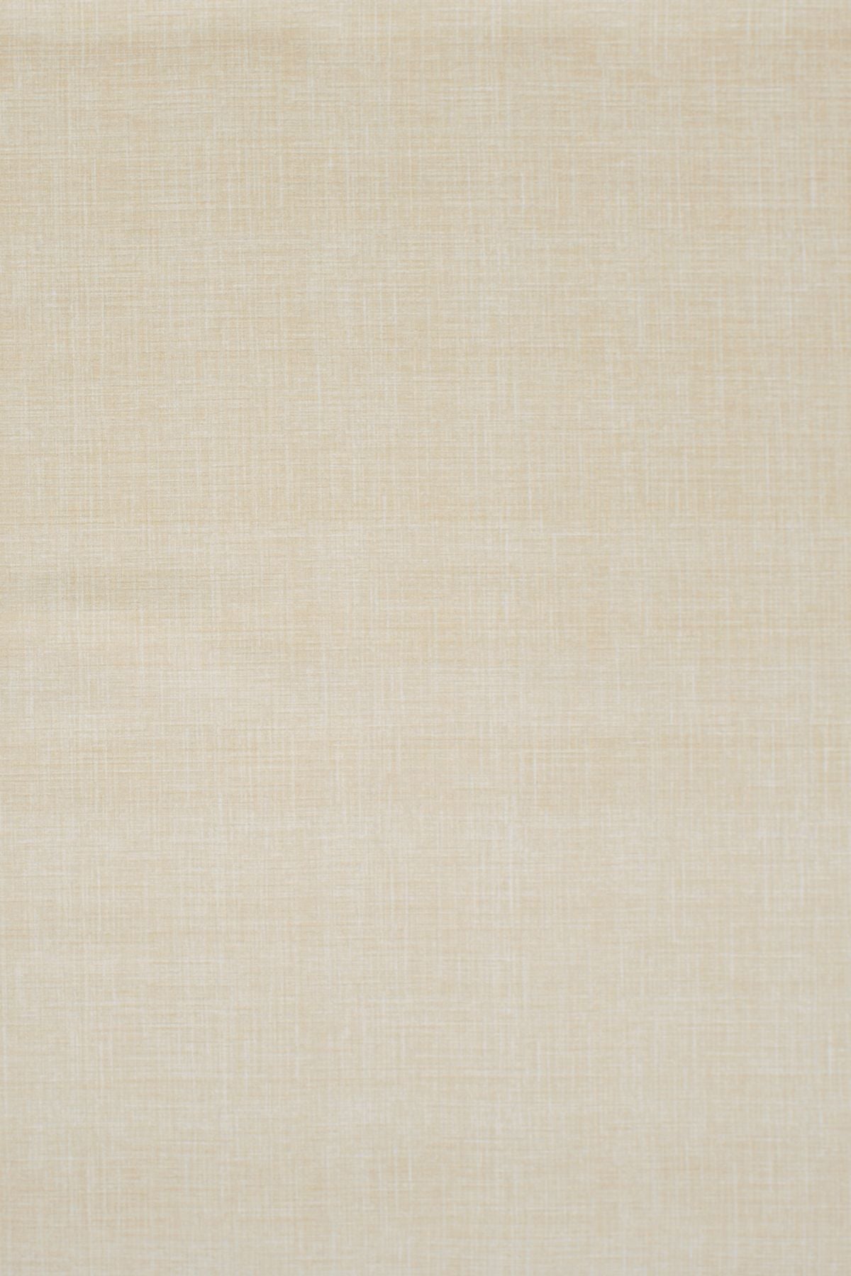 T01001647_ALT2