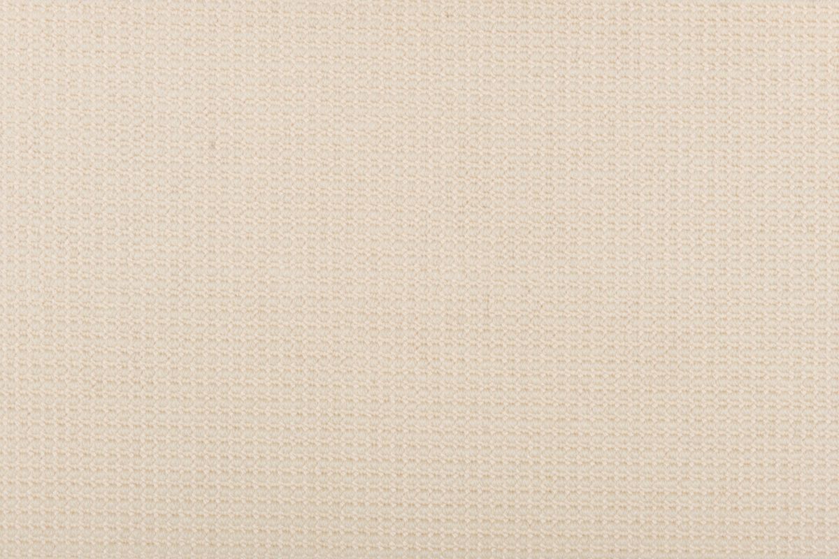 T01001883_CL