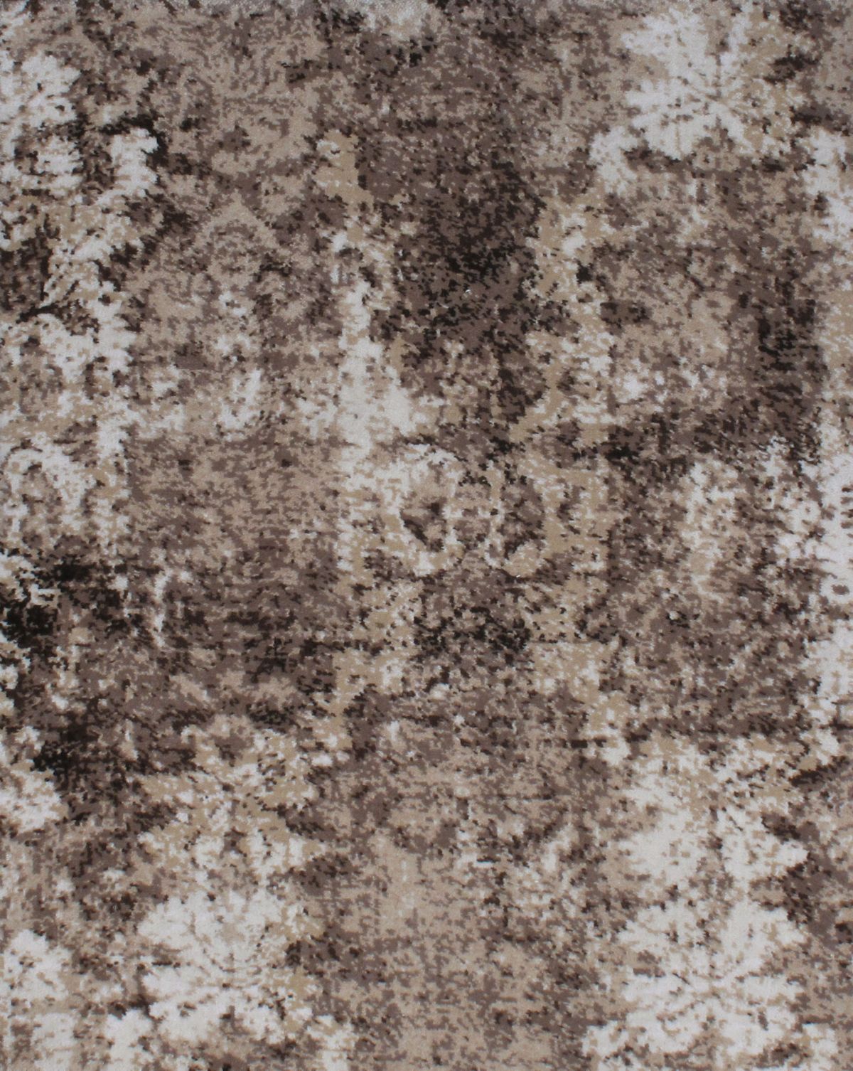 T01002104