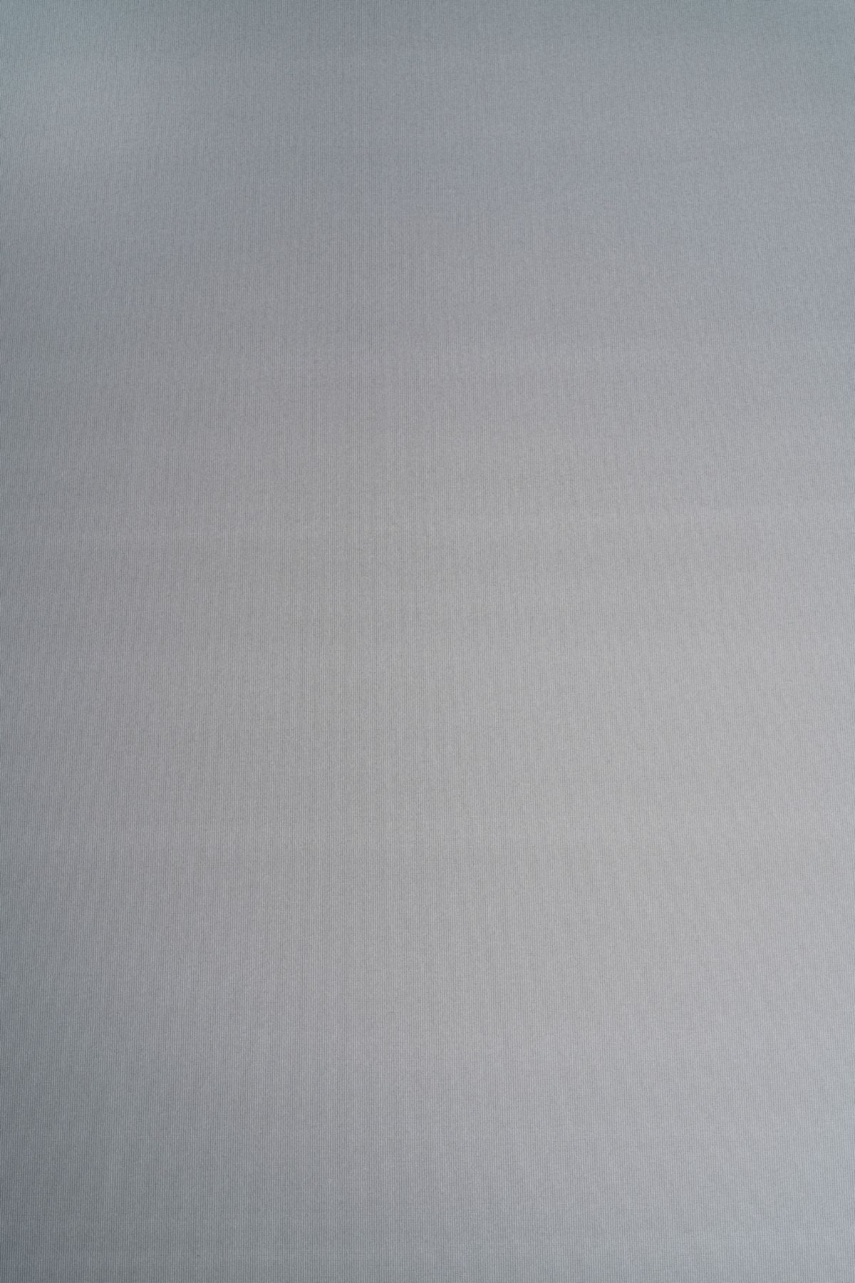 T01002108_ALT2