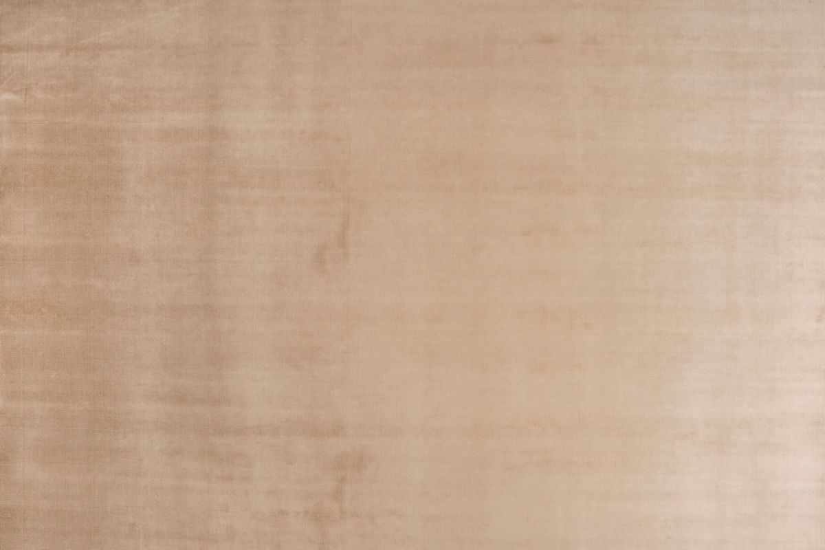 T01002681_ALT2