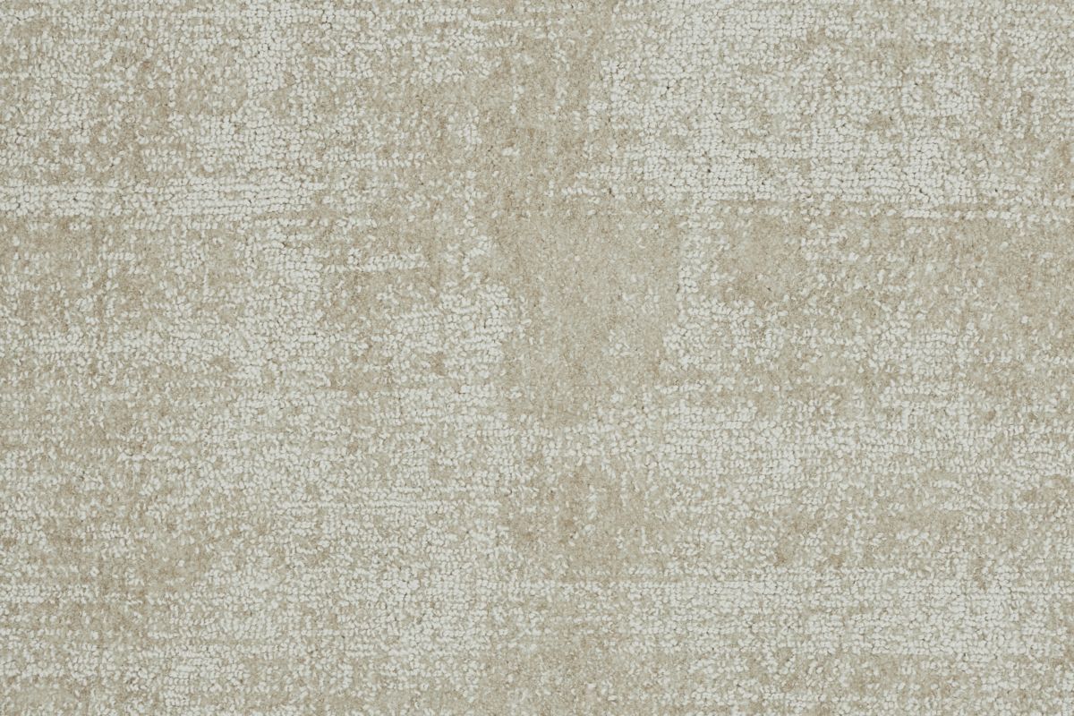 T01002924_CL
