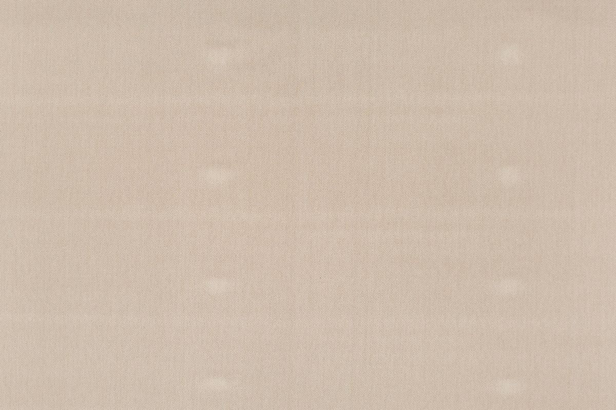 T01003075_ALT2