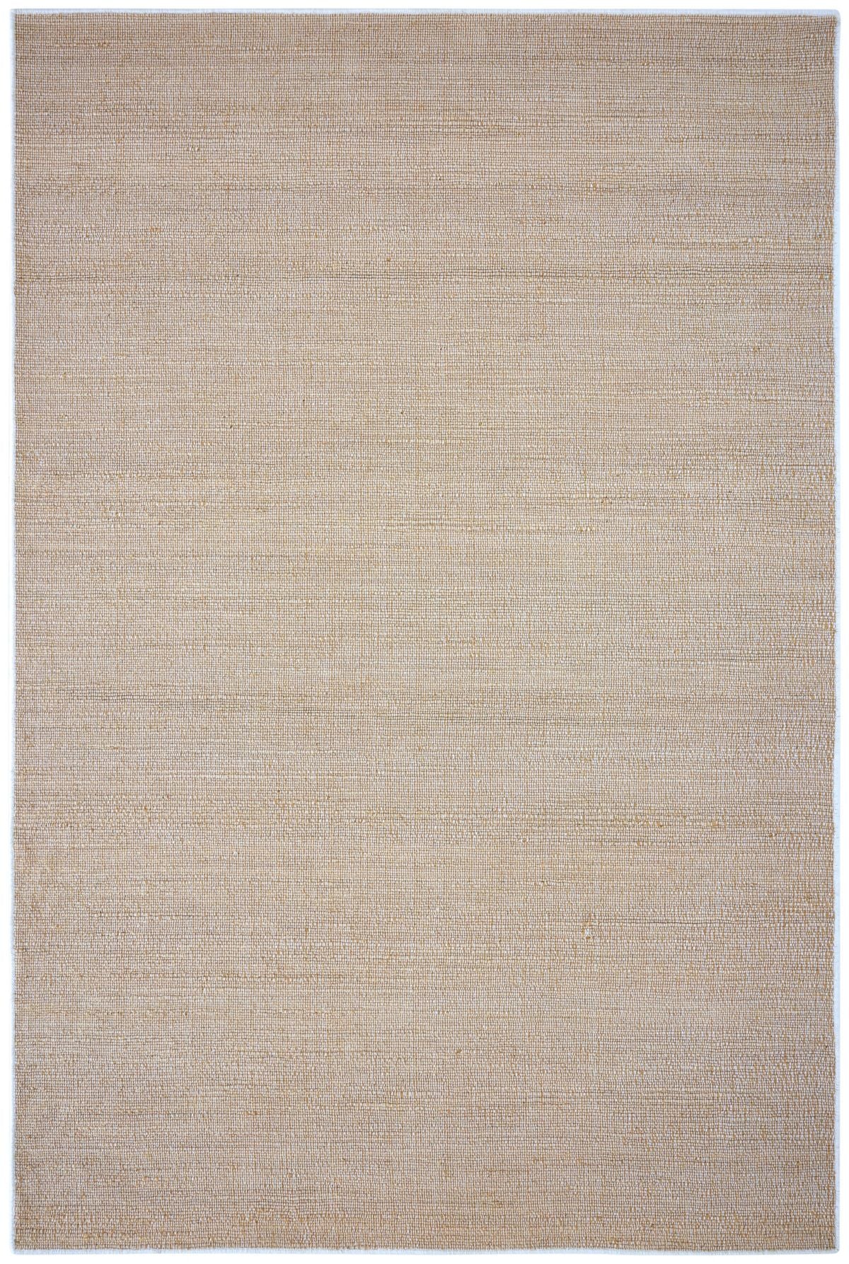 T01005919