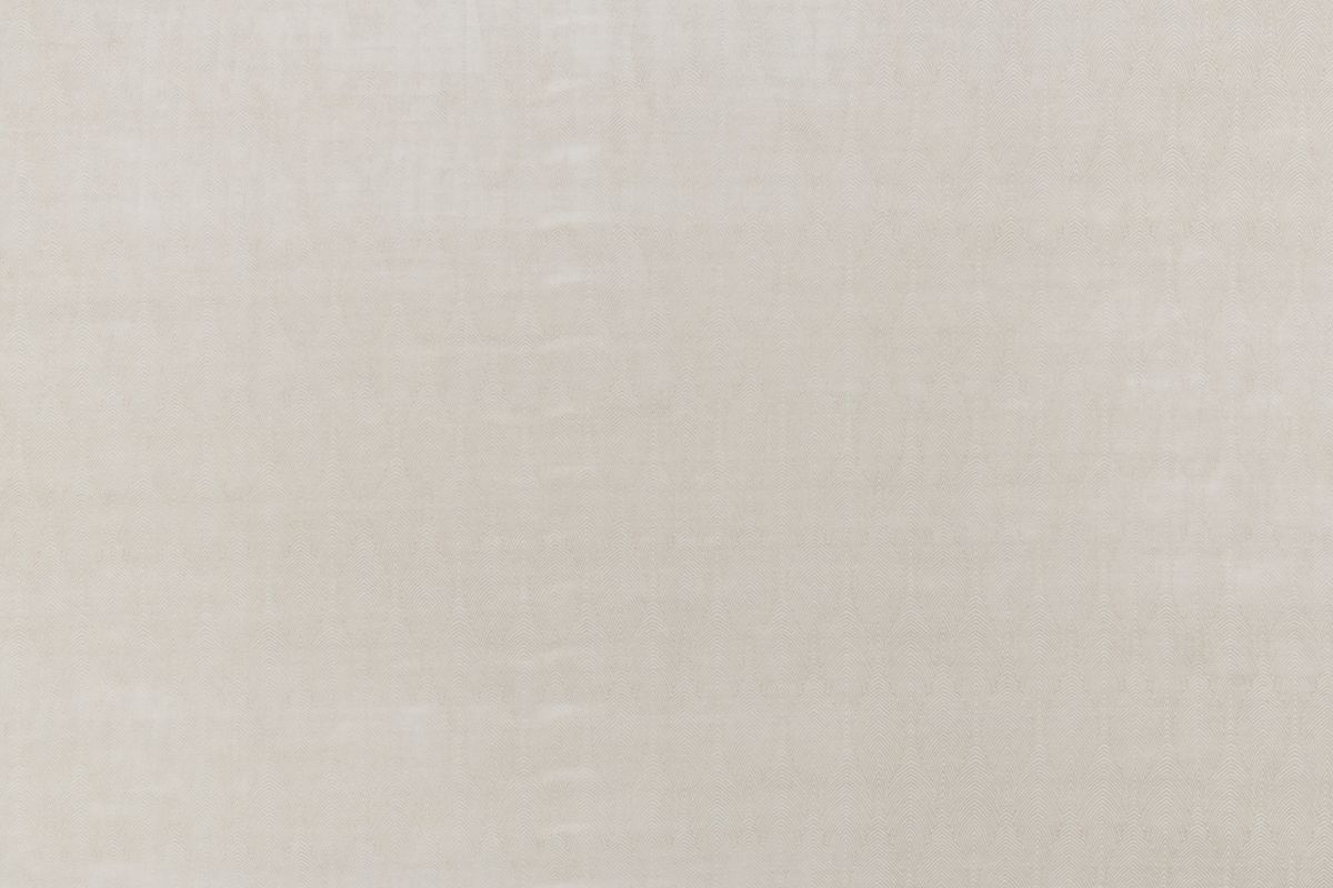 T01006445_ALT2