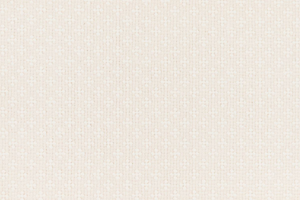 T01006479_CL