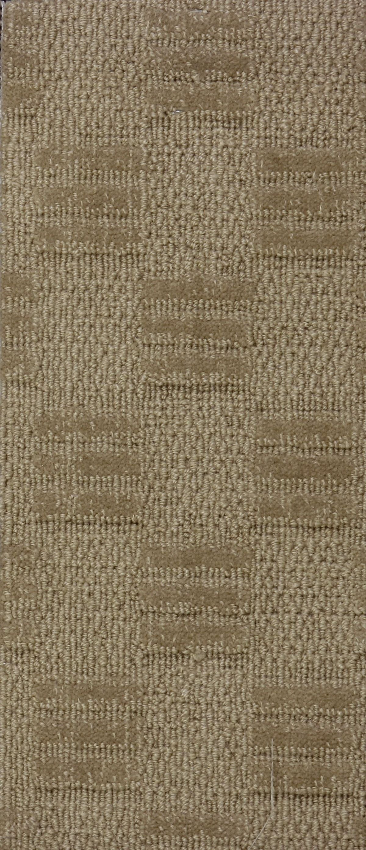 T01006554