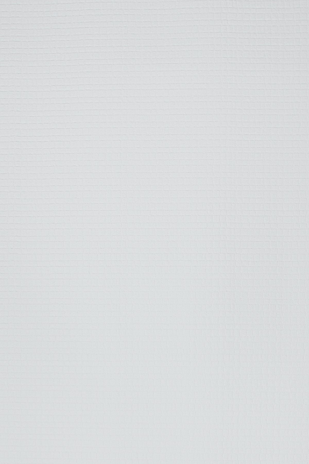 T01007034