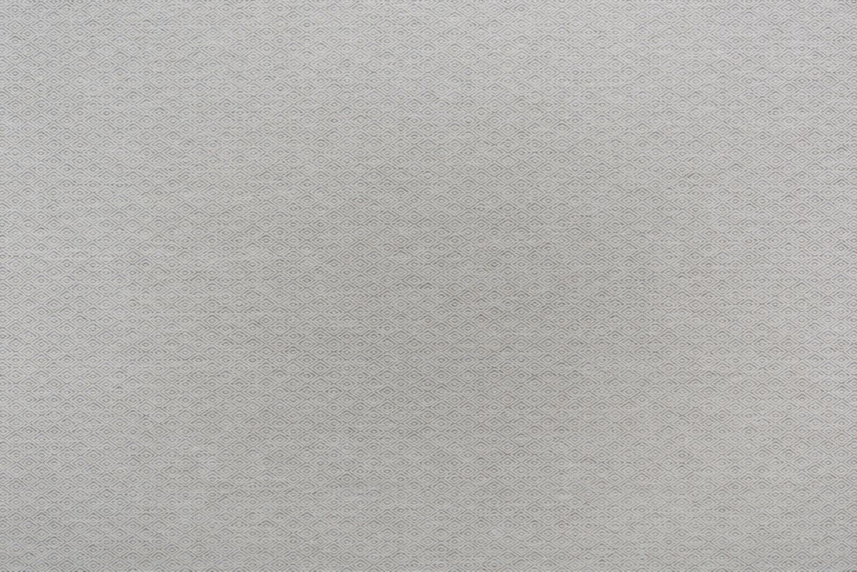 T01007035_ALT2