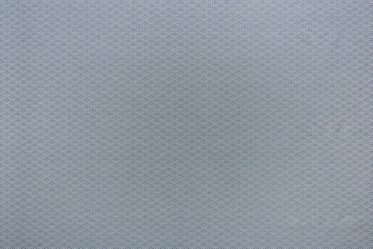 T01007036_ALT2