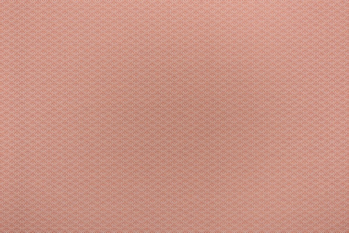 T01007039_ALT2