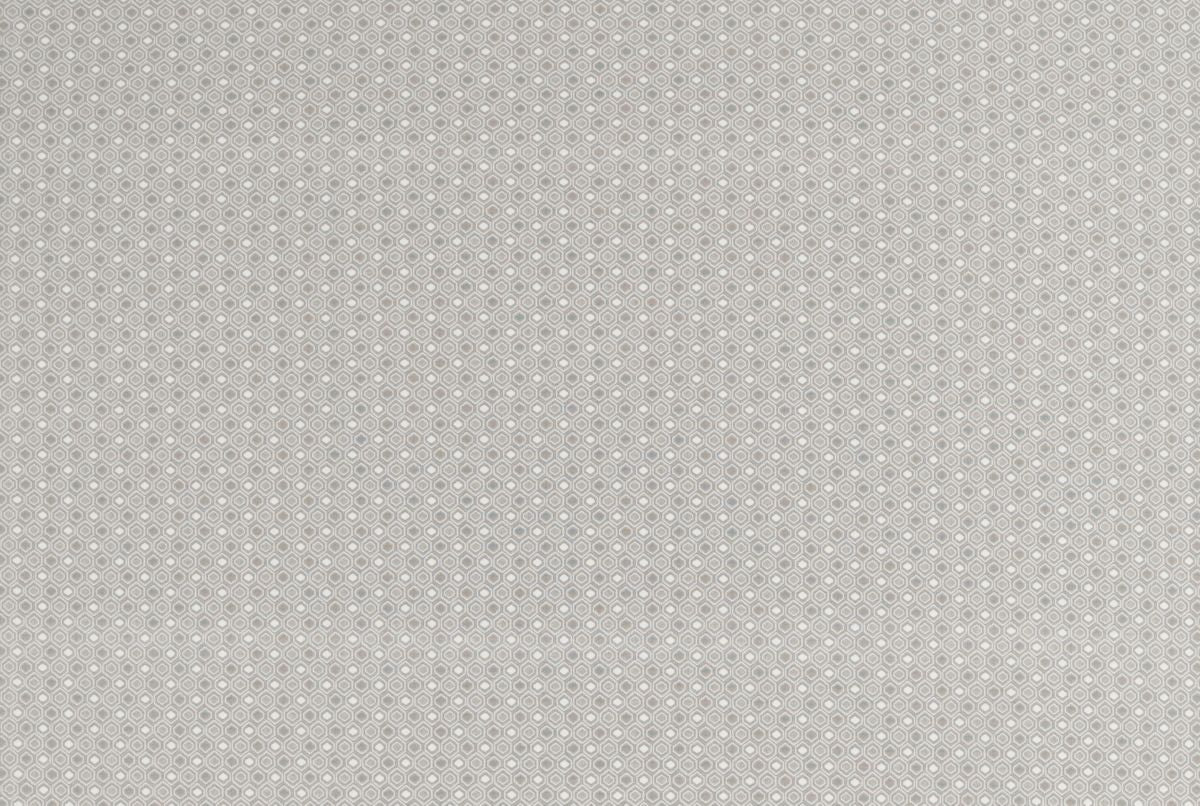 T01007721_ALT2