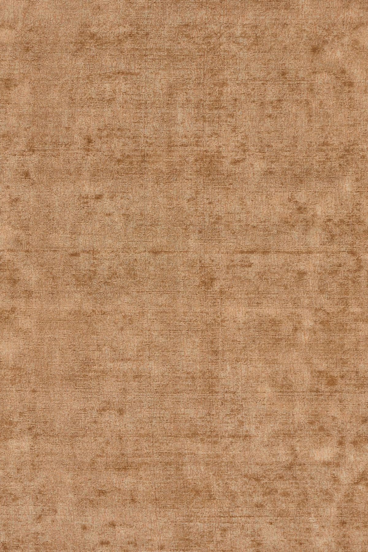 T01008095