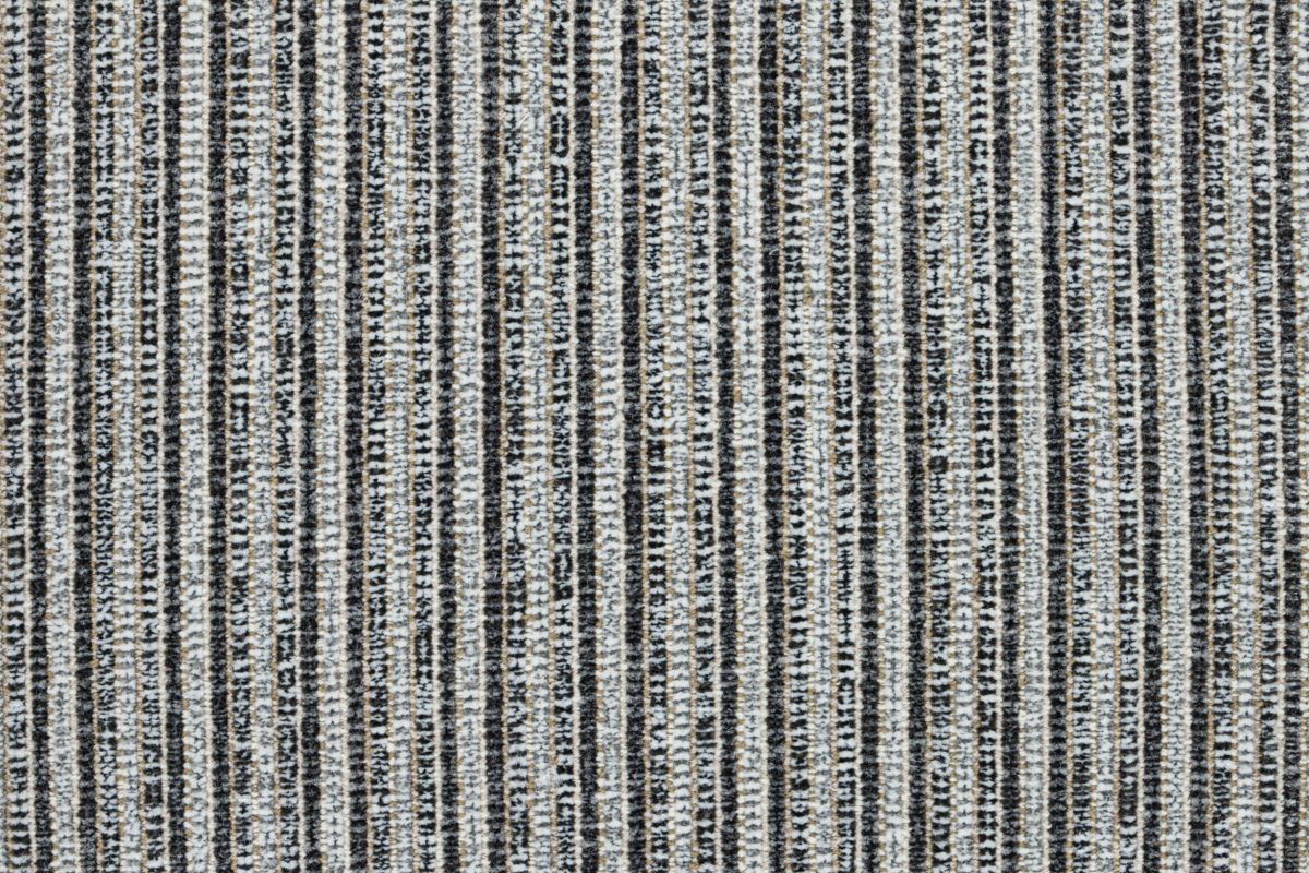 T01008356_CL