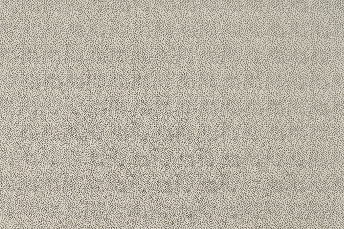 T01008944_ALT2