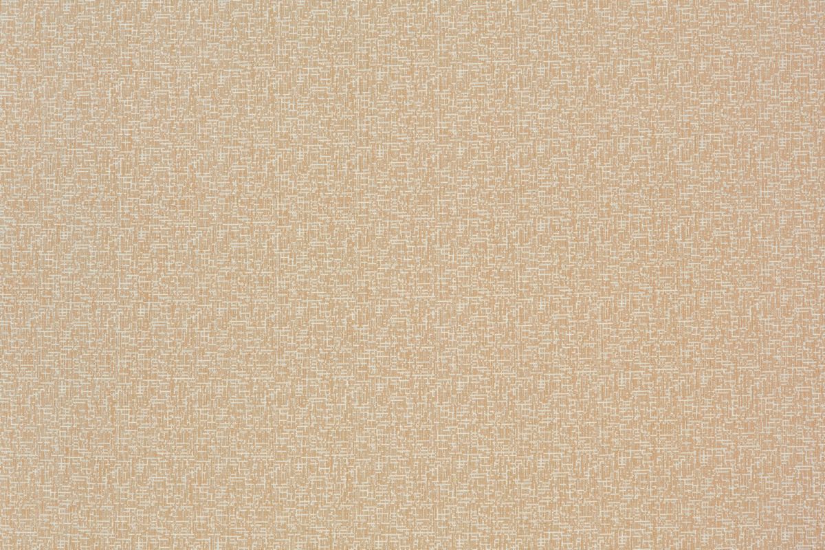 T01008986_ALT2