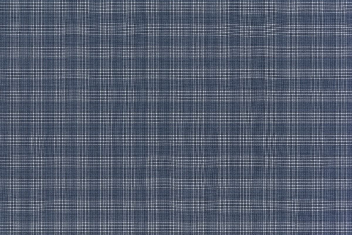 T01009017_ALT2