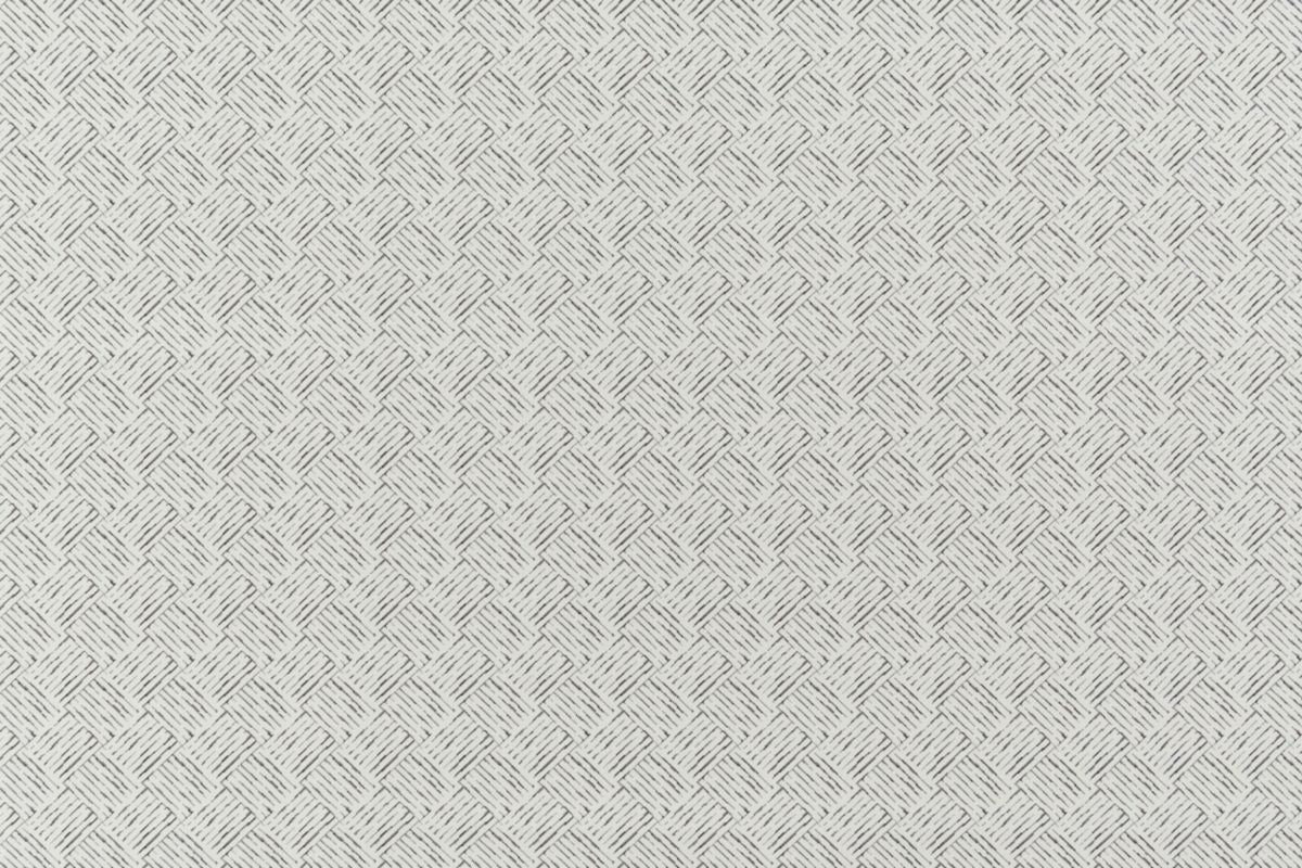T01009292_ALT2